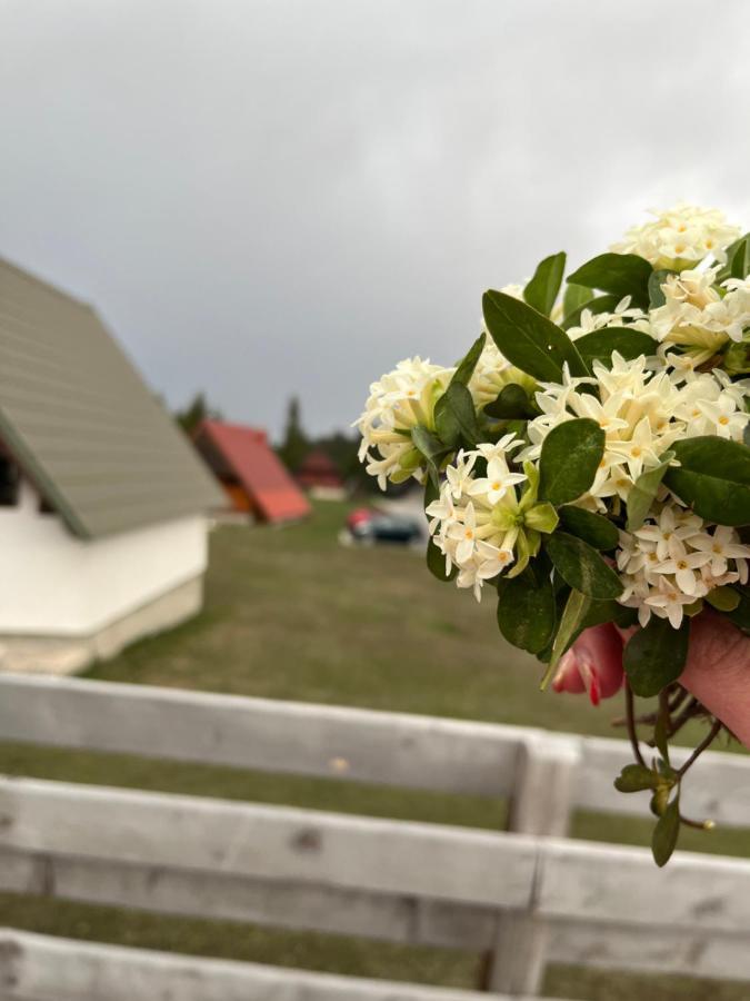 Bungalows Krstajic Žabljak Eksteriør billede