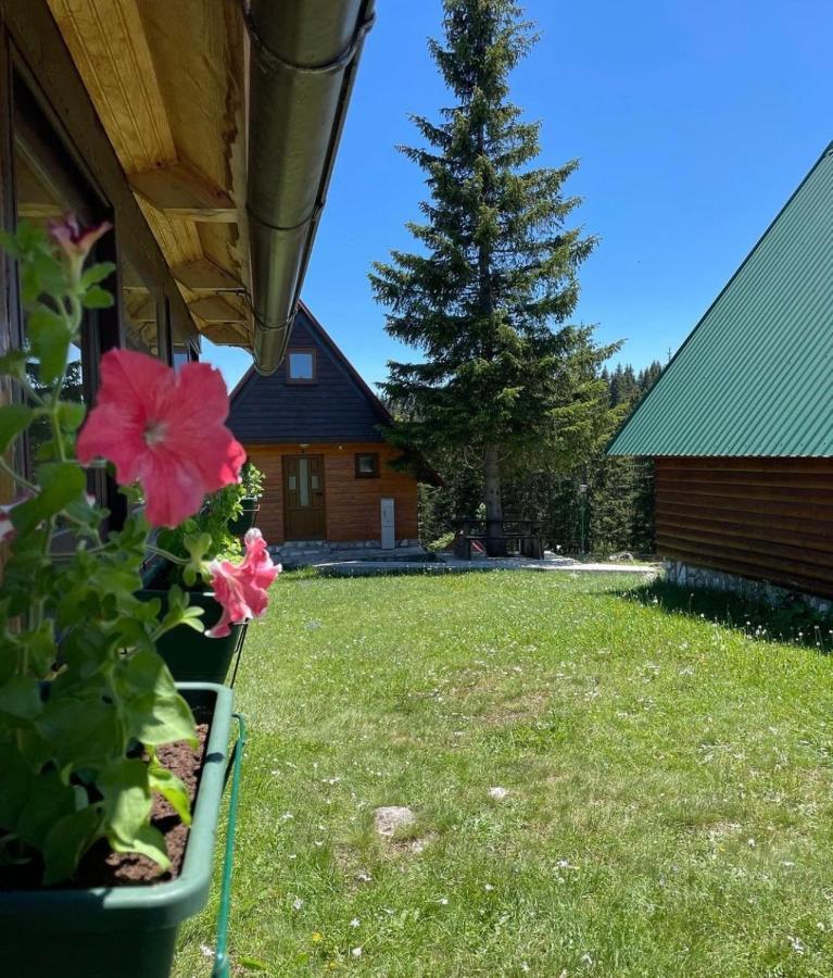 Bungalows Krstajic Žabljak Eksteriør billede