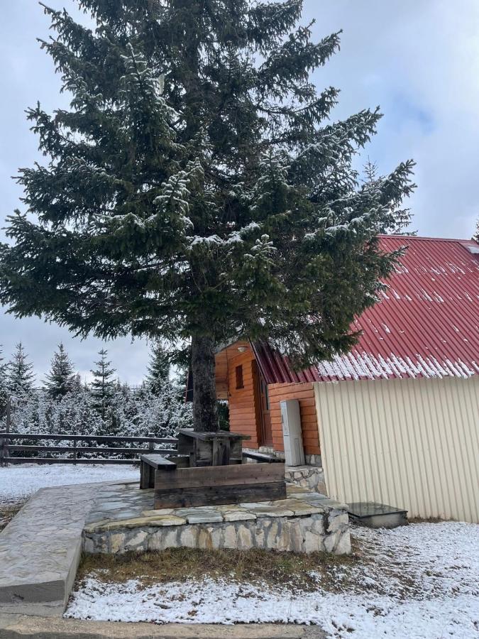 Bungalows Krstajic Žabljak Eksteriør billede