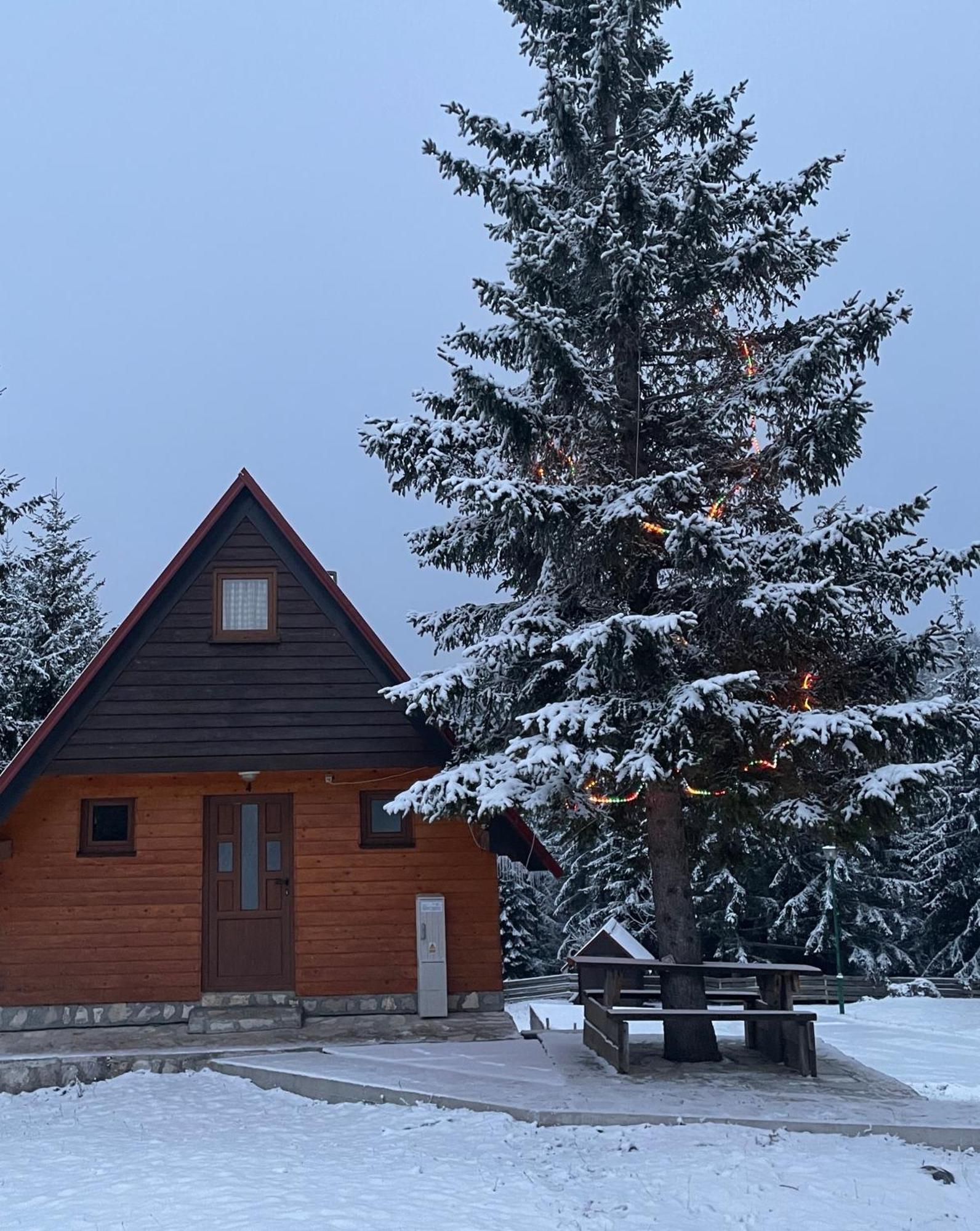 Bungalows Krstajic Žabljak Eksteriør billede